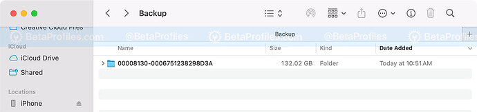 backup-folder-macos
