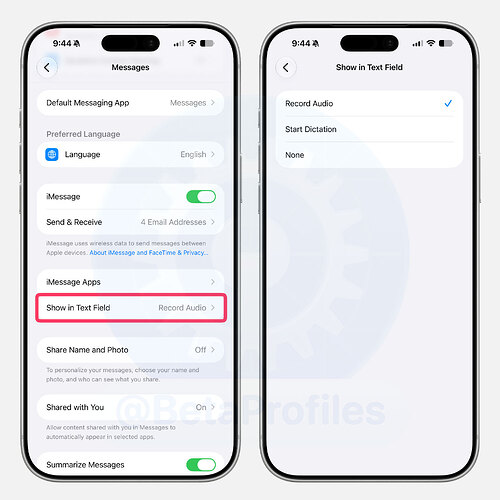 ios-27-messages-show-in-text-field-settings
