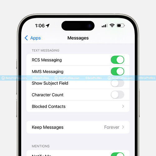 RCS-Messaging-ios-18