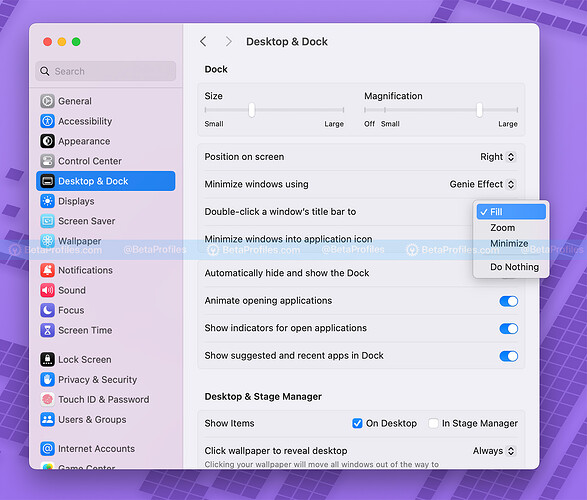 Double-Click-to-Fill-settings-macos-sequoia