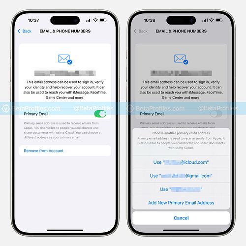 change-primary-email-ios-18.1-beta-6