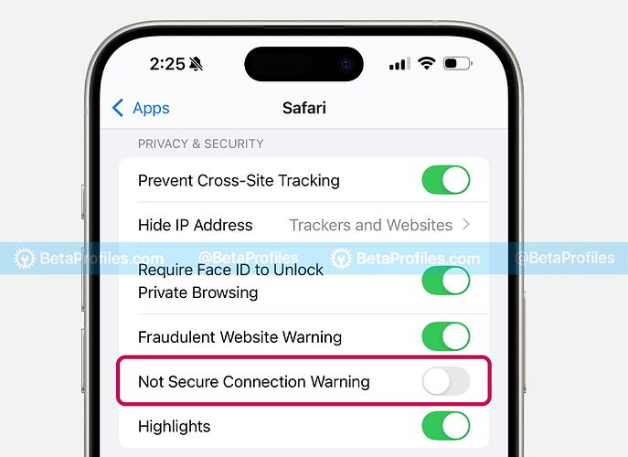 not-secure-connection-warning-safari-ios-18.2