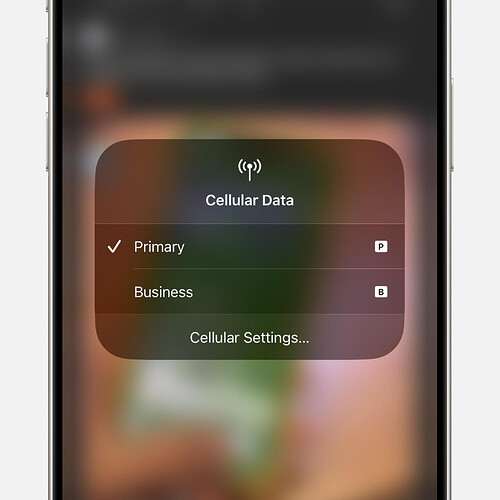 switch-cellular-data-line-ios-18