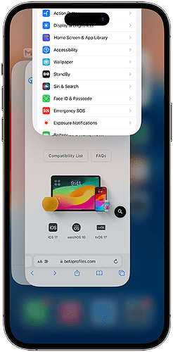 exit-settings-in-app-switcher