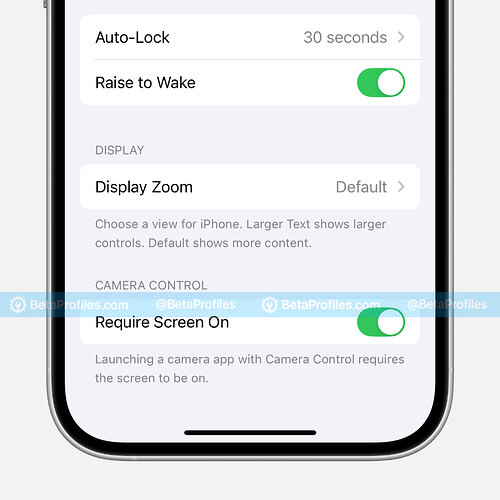 require-screen-on-camera-control-ios-18.2-beta-3