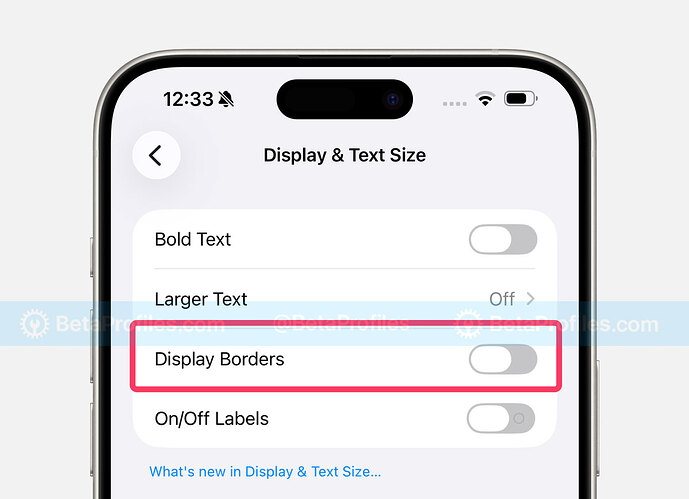ios-26.1-beta-2-display-borders-in-accessibility