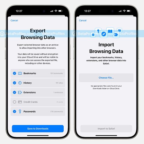 export-and-import-safari-data-ios-18.2-beta-1