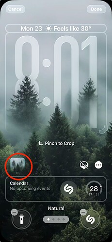 Screenshot 2025-06-23 at 8.01.16 PM