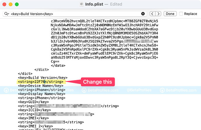change-build-version-string-info.plist