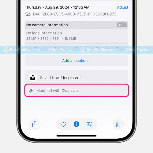 modified-with-clean-up-ios-18.1