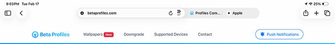 safari-compact-tab-bar-ipados-26.4-2