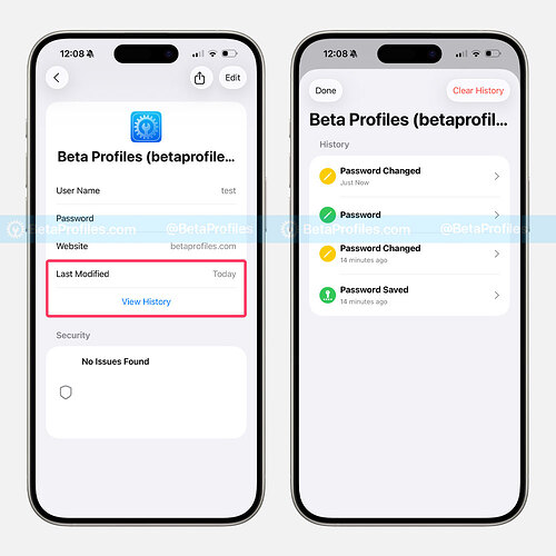 ios-26-apple-passwords-last-modified-and-history-change