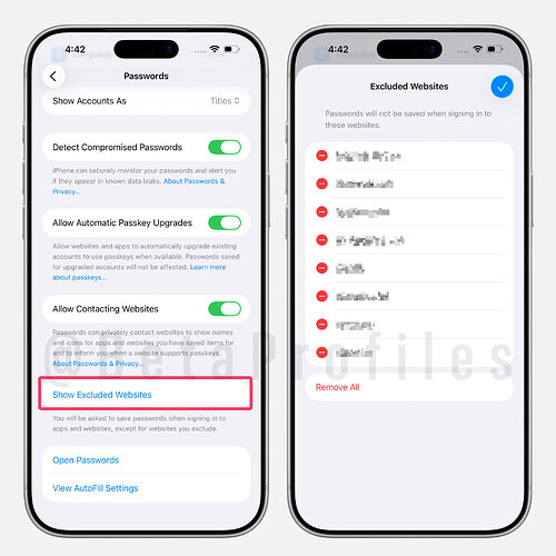 ios-26.2-passwords-excluded-websites-setting