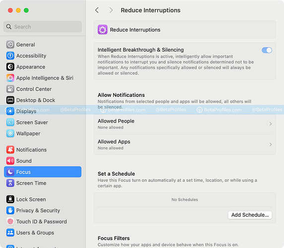 reduce-interruptions-macos-15.1