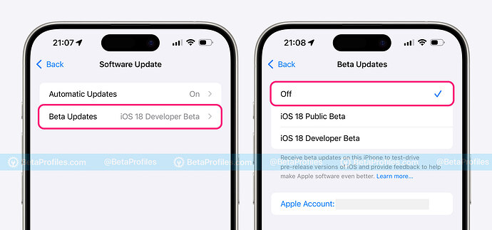 turn-off-beta-updates-ios-18