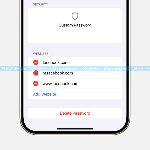 add-websites-to-existing-passwords-ios-18