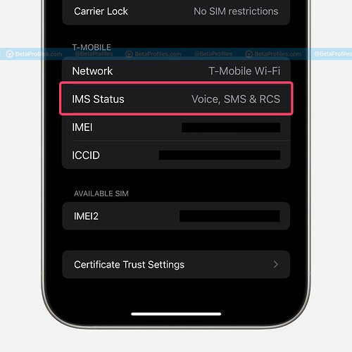 check-if-your-carrier-supports-RCS-ios-18-beta-2