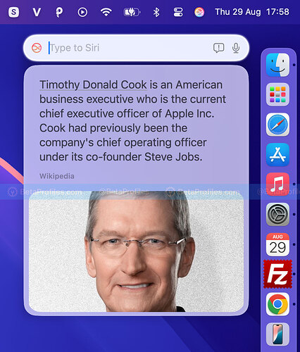 new-siri-ui-macos-15.1