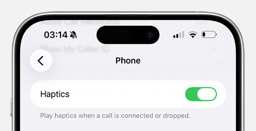 ios-26.1-beta-4-phone-haptic-settings